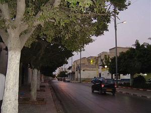 ORAN - AVENUE DE TUNIS (4)